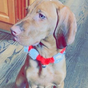 Meet your Posher, Sam